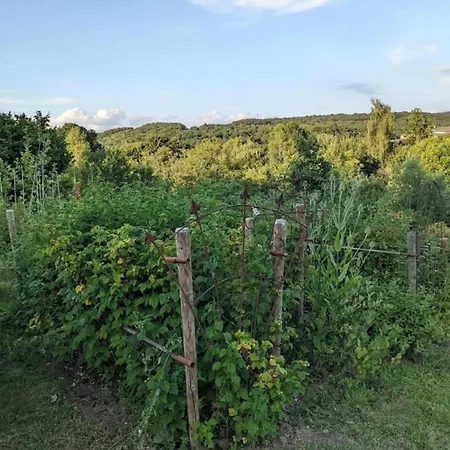 Farmhouse In Tenneville With Valley Views, Cleaning Included *